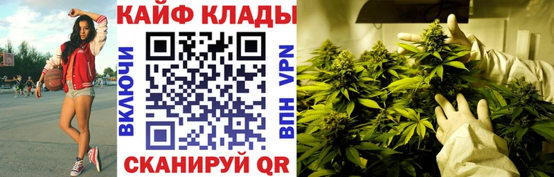 Где можно купить наркотики Йошкар-Ола Бутират  Меф  A-PVP  Бошки Шишки  ГАШ  COCAIN 
