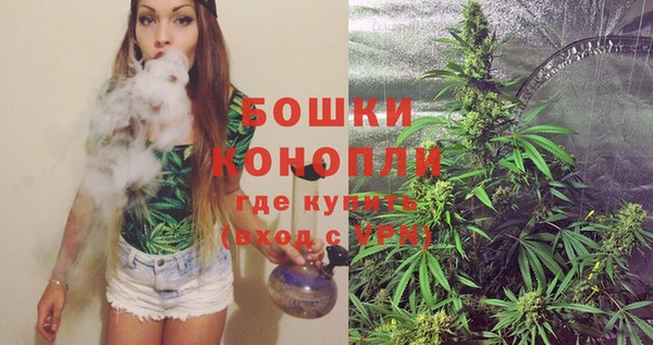 спайс Гусь-Хрустальный