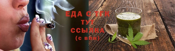 тгк Дмитровск