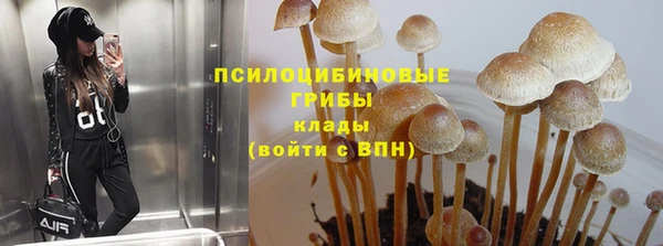 тгк Дмитровск