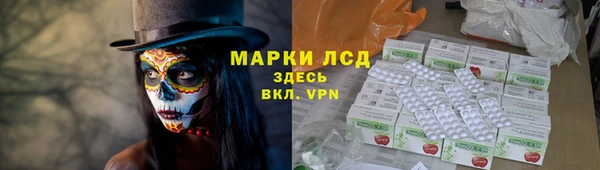 СК Дмитров