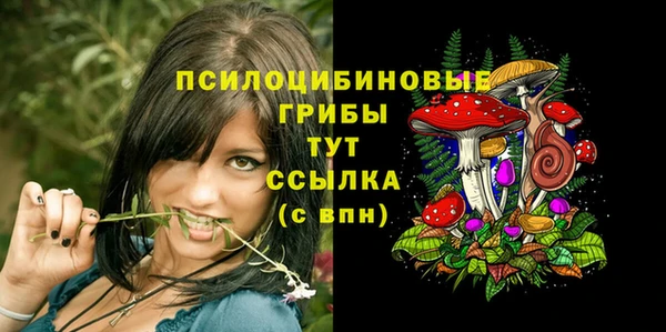 спайс Гусь-Хрустальный