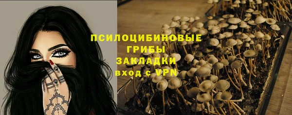 СК Дмитров