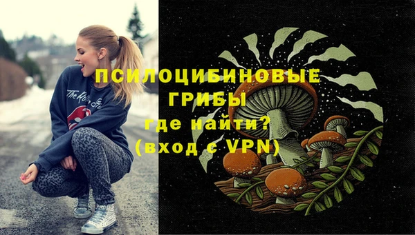 бутират Гусев