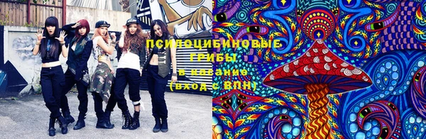 бутират Гусев