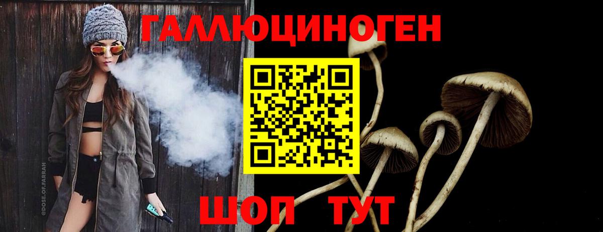 Йошкар-Ола  Галлюциногенные грибы Psilocybine cubensis  Вход с VPN 