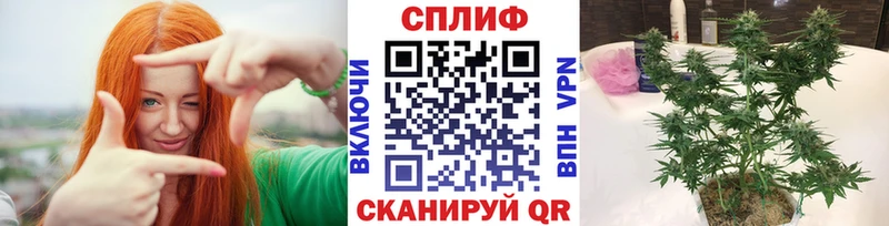 наркотики  Йошкар-Ола  Бошки Шишки THC 21% 
